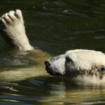 Free + VERY Discounted Things to do This Week for Winter Break