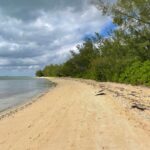 Citizen science app tracks coastal erosion in the Bahamas