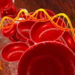 Mysterious RNA led scientists to a hidden layer of cancer