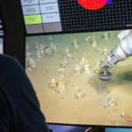 Scientists uncover oxygen-loving ancestor of all complex life