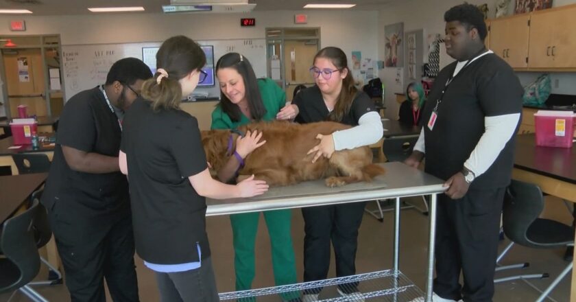 Tyler ISD’s animal science students gain real‑world skills through free doggy daycare