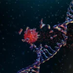 Scientists discover the enzyme that lets cancer rapidly rewire its DNA