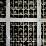 Greece experts to examine Nazi atrocity photos find