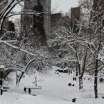 Snow? Increasingly ‘no’ according to new MSU research