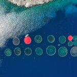 Europe Wants More Fish Farms. Is Greece Ready?
