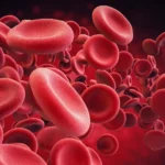 Ultramarathons may damage red blood cells and accelerate aging