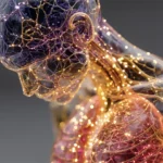 How the body really ages: 7 million cells mapped across 21 organs