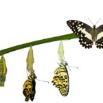 Financial Services Accelerates Transformation – Markets Media