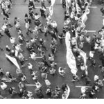 Social science research on collective action wins National Science Foundation grant