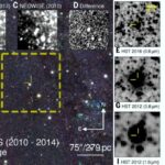 Supergiant Star Collapsed into Stellar-Mass Black Hole in Andromeda Galaxy