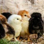 Science Snapshots: February 22, 2026