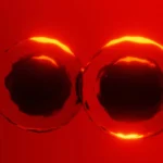 Textbooks challenged by new discovery about how cells divide