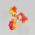 AI Redesigns Antibodies To Work Inside Cells