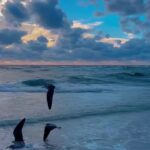 @sharing_beautiful      beach  …