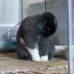 @ella_gthomas lmao               …