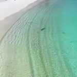 @aura53031       …