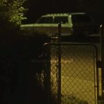 @emilyhabesha1 unbelievable     …