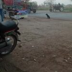 @imran.ali.426 foruyou      …