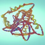 Omnigeniq’s journey from space science to drug design