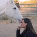 Bow Valley non-profit screens documentary on science, stories of healing with horses