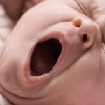 Scientists discover a new function of yawning