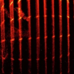 Scientists Made Light Speed Visible. The Images Are Amazing.