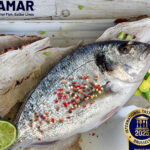 UAE investor expected to pay guarantee to take control of Avramar Greece’s debts