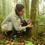 Hunting Limits Aren’t Random—Here’s the Science Behind the Numbers