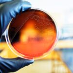 Unpacking the evolving science of pathogen persistence in food processing environments