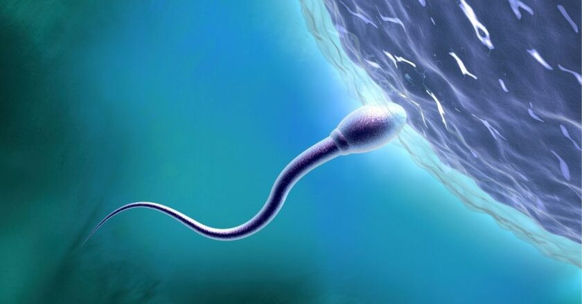 Scientists Say It’s Time to Learn More About Sexual Health in Space : ScienceAlert