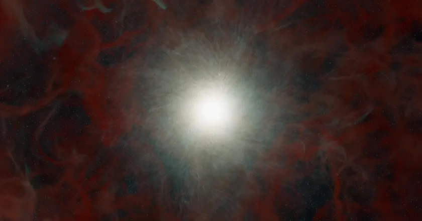 Astronomers watch a massive star collapse into a black hole without a supernova