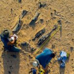 Newly discovered dinosaur species was a fish-eater with a huge horn