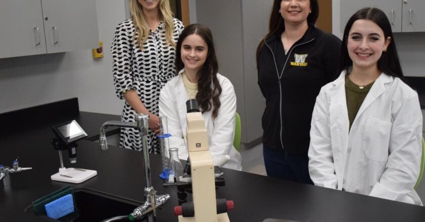 Wantagh Science Researchers Awarded, Published