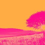 OCSL) And The Rest Of The Specialty Finance Segment