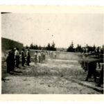 Nazi Execution Photos Prompt Greece to Create National Photo Archive