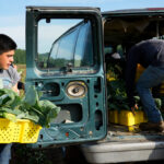 Senator Husted introduces legislation to modernize family farm loans