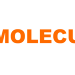 Moleculin Reports Full Year 2025 Financial Results and Confirms Highly Anticipated 45-Patient Interim Data Unblinding in Pivotal MIRACLE Trial On Track for Mid-2026