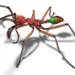 UMD entomologist helps bring the world’s ant diversity to life in 3D imagery
