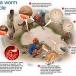 Cash rewards for behavior change: A review of financial incentives science in one health contexts and implications