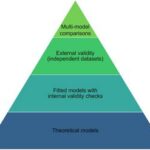 One Health antimicrobial resistance modelling: from science to policy