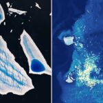 Ailing “Megaberg” Sparks Surge of Microscopic Life