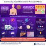 Uncovering a key signaling pathway linking liver cancer and fibrosis