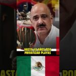 Hasta 40 años por privatizar playas