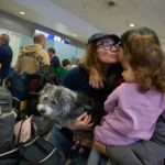 Greece evacuated citizens along with their pets from the war zone in the Middle East