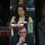 Tulsi MANHANDLES Raging Dem With Ease Over Fulton County Accusation