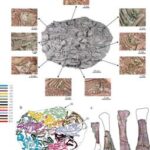 Why did juvenile Psittacosaurus ingest gastroliths?