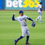 Bet365 latest major gambling operator to exit AGA — CDC Gaming