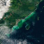 Satellite Spots a Spawn – NASA Science