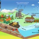 From ashes to assets: Unpacking the dual role of fire residues in Earth’s carbon cycle and environmental health