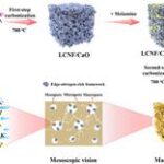 Sustainable carbon anode enhances potassium-ion storage for next-generation energy devices